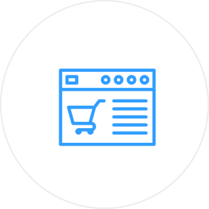 E-Commerce Store Customization