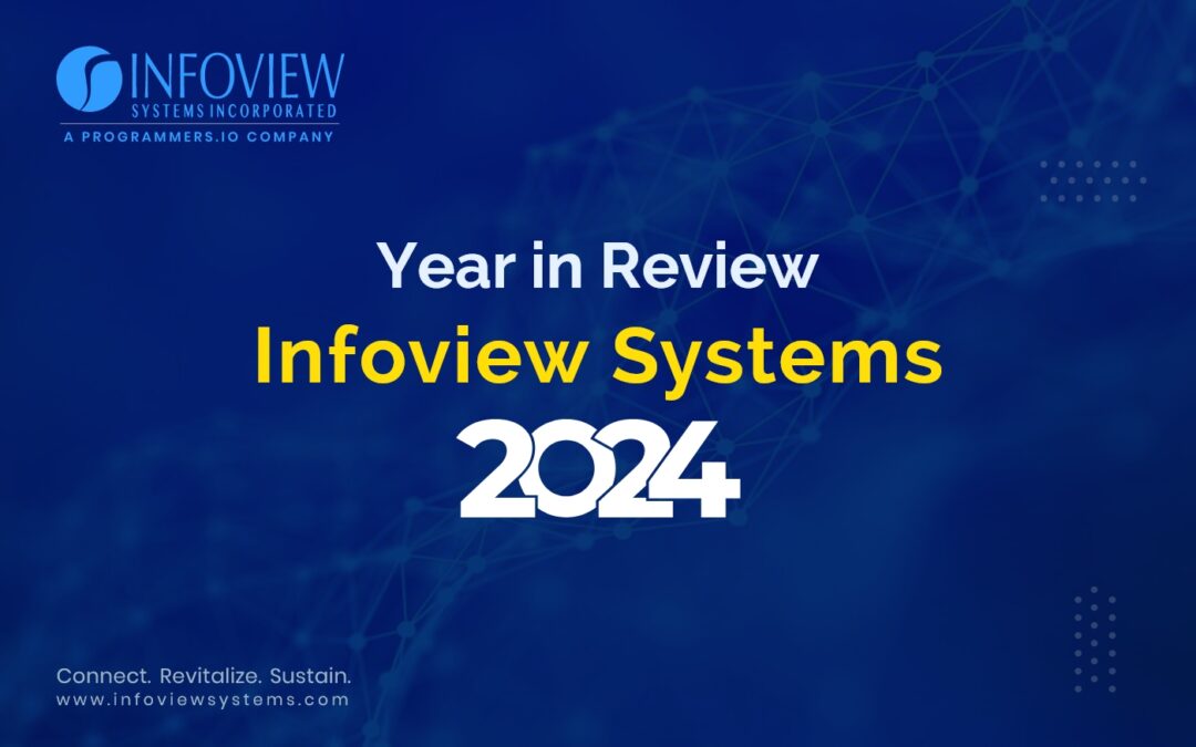 Year in Review Infoview Systems 2024